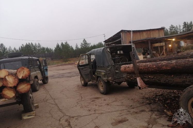 Сотрудники Росгвардии Бурятии задержали граждан за незаконную рубку леса