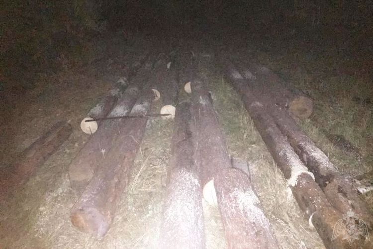 Росгвардейцы задержали подозреваемых в незаконной рубке леса в Бурятии