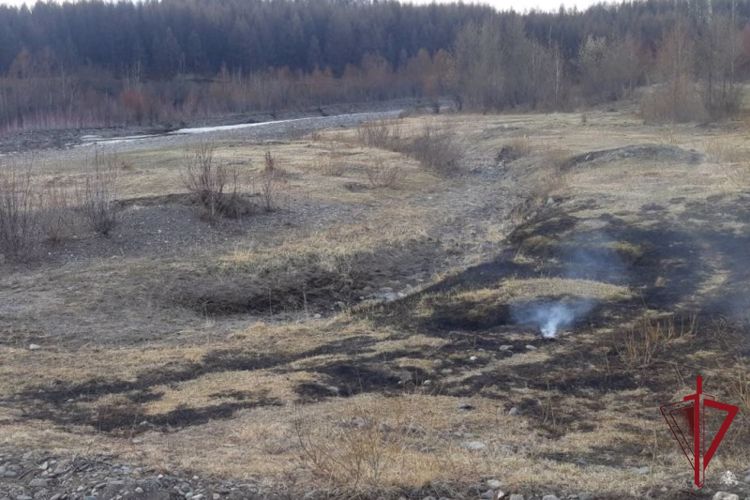 На севере Бурятии росгвардейцы задержали нарушителя особого противопожарного режима
