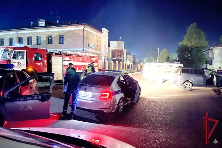 В райцентре Бурятии росгвардейцы задержали автоугонщика