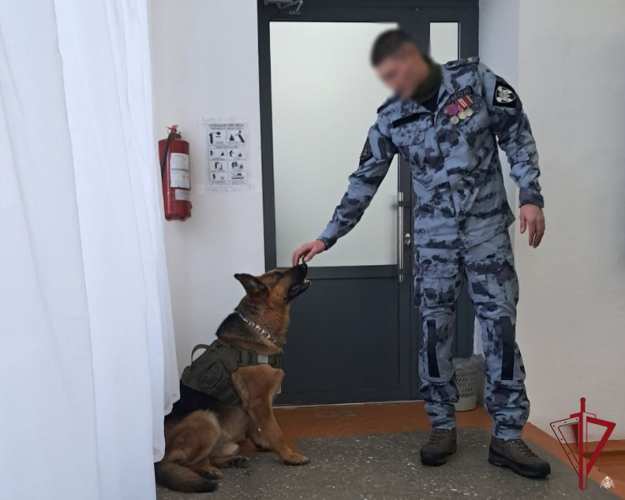 В преддверии Дня Героев Отечества бойцы спецподразделения Росгвардии провели патриотический урок