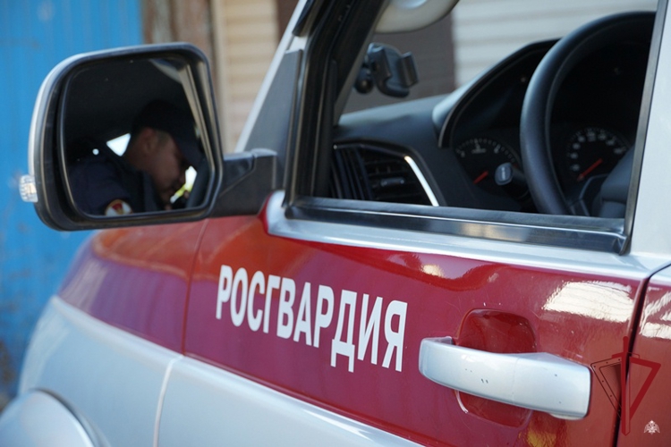 В Бурятии сотрудники вневедомственной охраны за неделю приняли участие в раскрытии 15 преступлений