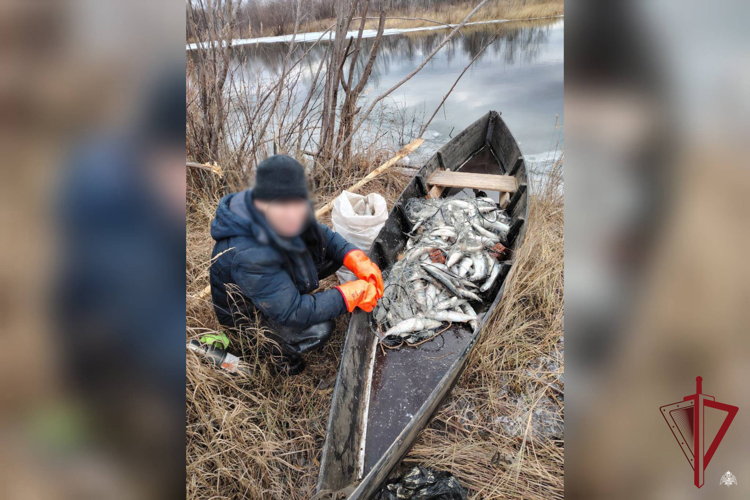 В Бурятии при содействии спецназа Росгвардии задержан браконьер, выловивший омуля на сумму около 1,7 миллиона рублей