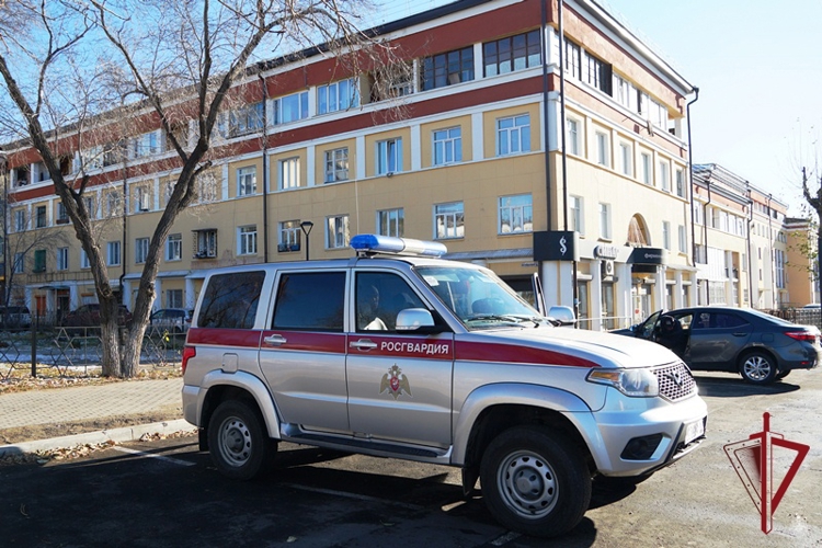Итоги недели: раскрыто 14 преступлений и задержаны более 130 правонарушителей