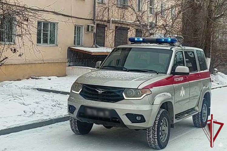 Итоги недели: раскрыто 17 преступлений и задержаны 123 правонарушителя