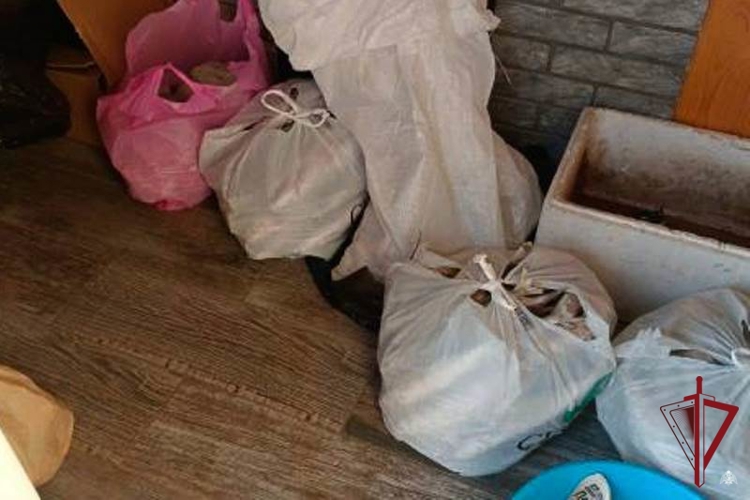 В Бурятии при силовой поддержке ОМОН Росгвардии пресечён незаконный оборот водных биологических ресурсов 