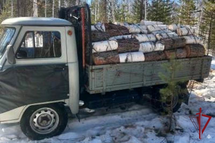 В Бурятии при содействии Росгвардии пресечена деятельность незаконного лесоруба
