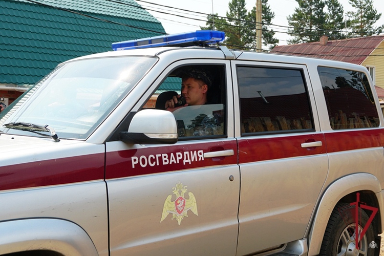 Итоги недели: раскрыто 14 преступлений и задержаны 145 правонарушителей
