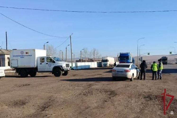 Заместитель председателя Правительства Бурятии Амгалан Дармаев поблагодарил росгвардейцев за работу на ветеринарных постах