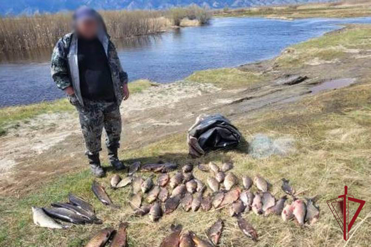Во взаимодействии с сотрудниками ОМОН Росгвардии задержан подозреваемый в незаконной добыче биологических ресурсов в Бурятии