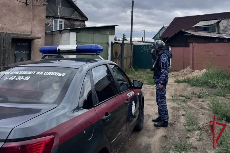 В Улан-Удэ росгвардейцы задержали подозреваемую в краже телевизора 