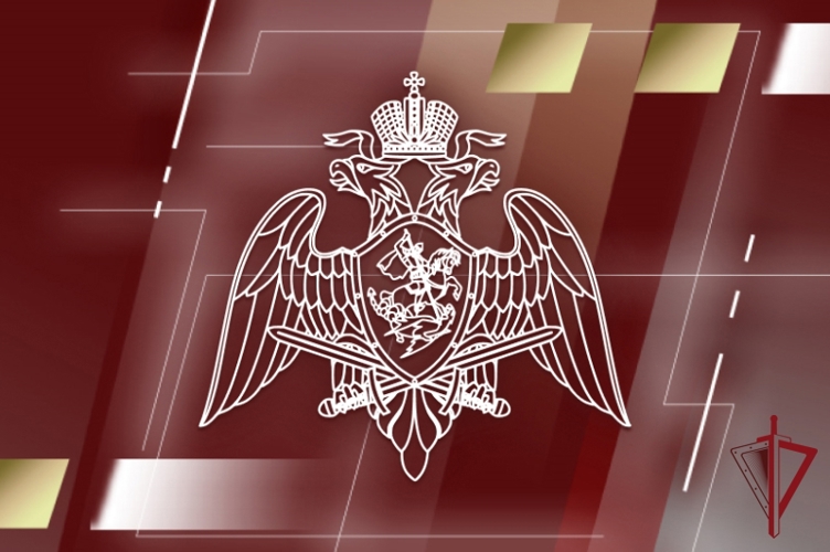 Управление Росгвардии информирует о вступлении в силу Федерального закона «О частной охранной деятельности»