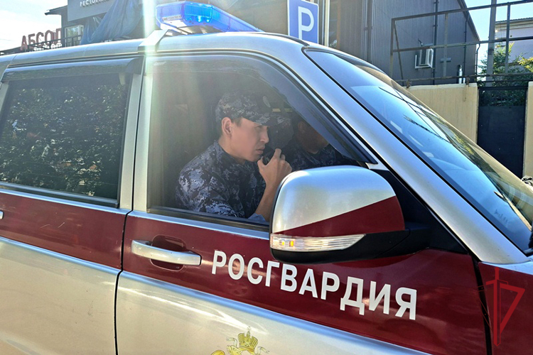 Итоги недели: раскрыто 14 преступлений и задержаны более 180 правонарушителей